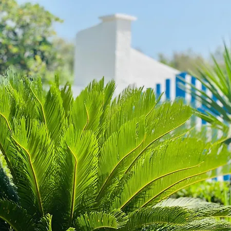 Villa Casa Loca Del Mar *