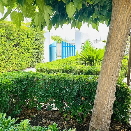 빌라 Casa Loca Del Mar 토레 키안카